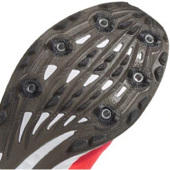 ADIDAS Women's Adizero XC Sprint Spike - Signal Pink/Core Black/TWR White- Regular (B) -Men Shoes Store EG8462 04