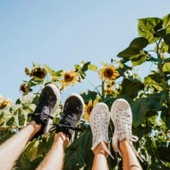 Men's X-Scape NBK Low Sneaker - Black/White - Regular (D) -Men Shoes Store mens x scape nbk low black white ls 2 800x 19e1401c ae96 4599 a957 64c89760f645